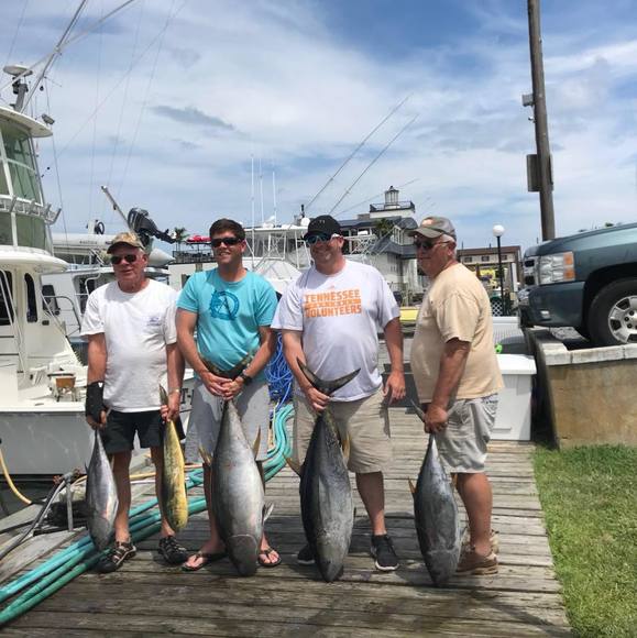 Meet your Posher, Justin - Picture 1 of 1